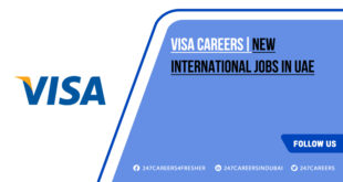 Visa Careers